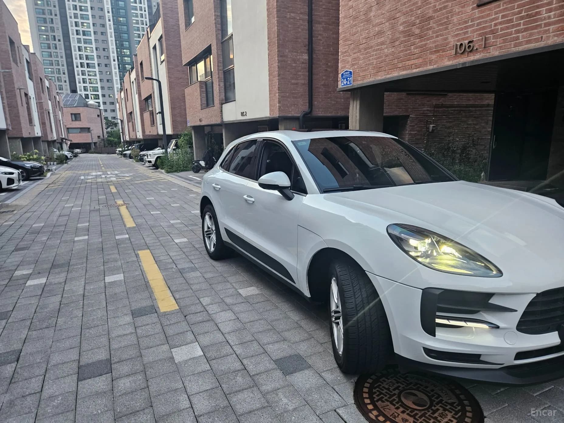 Macan