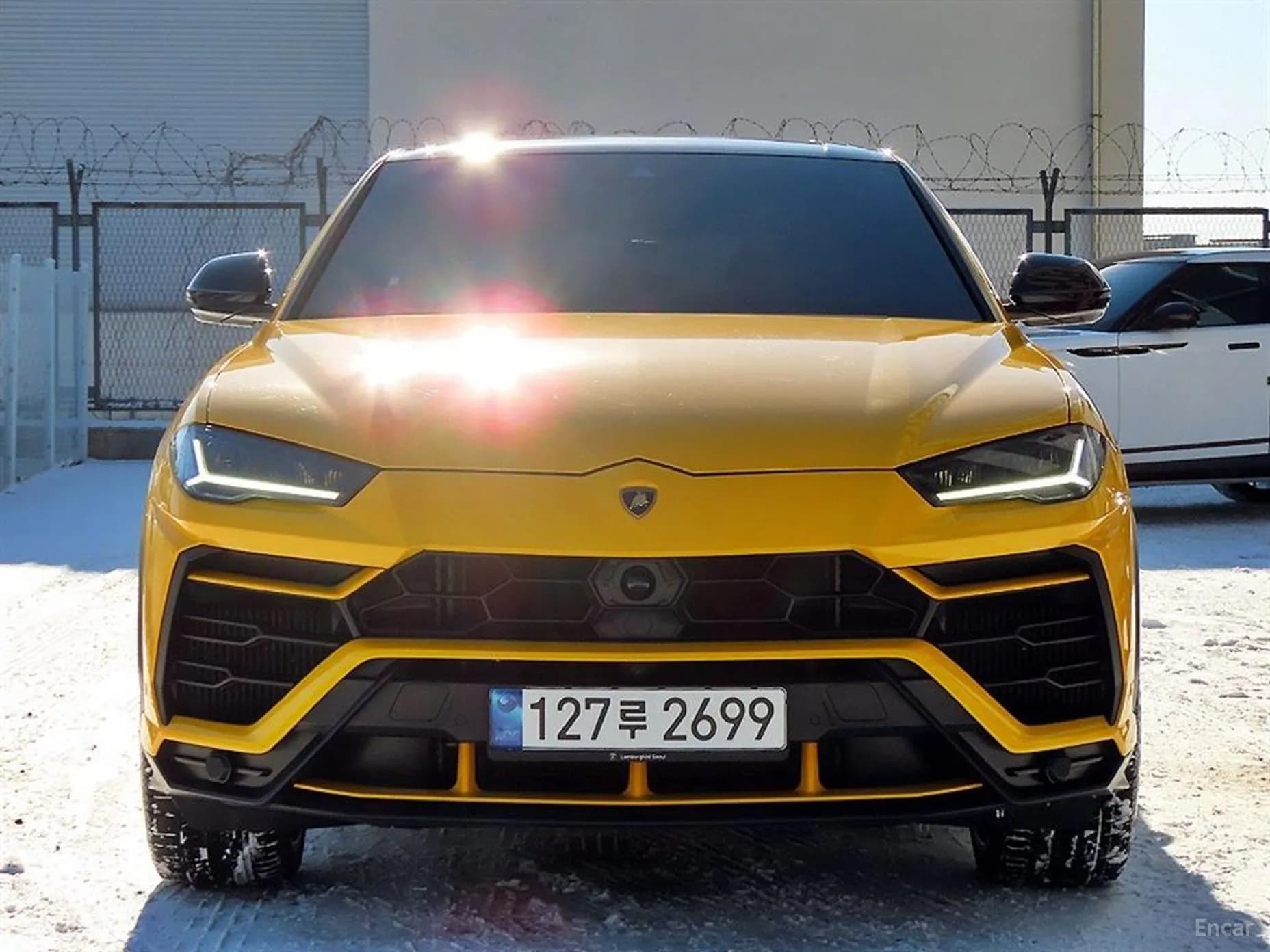 Urus