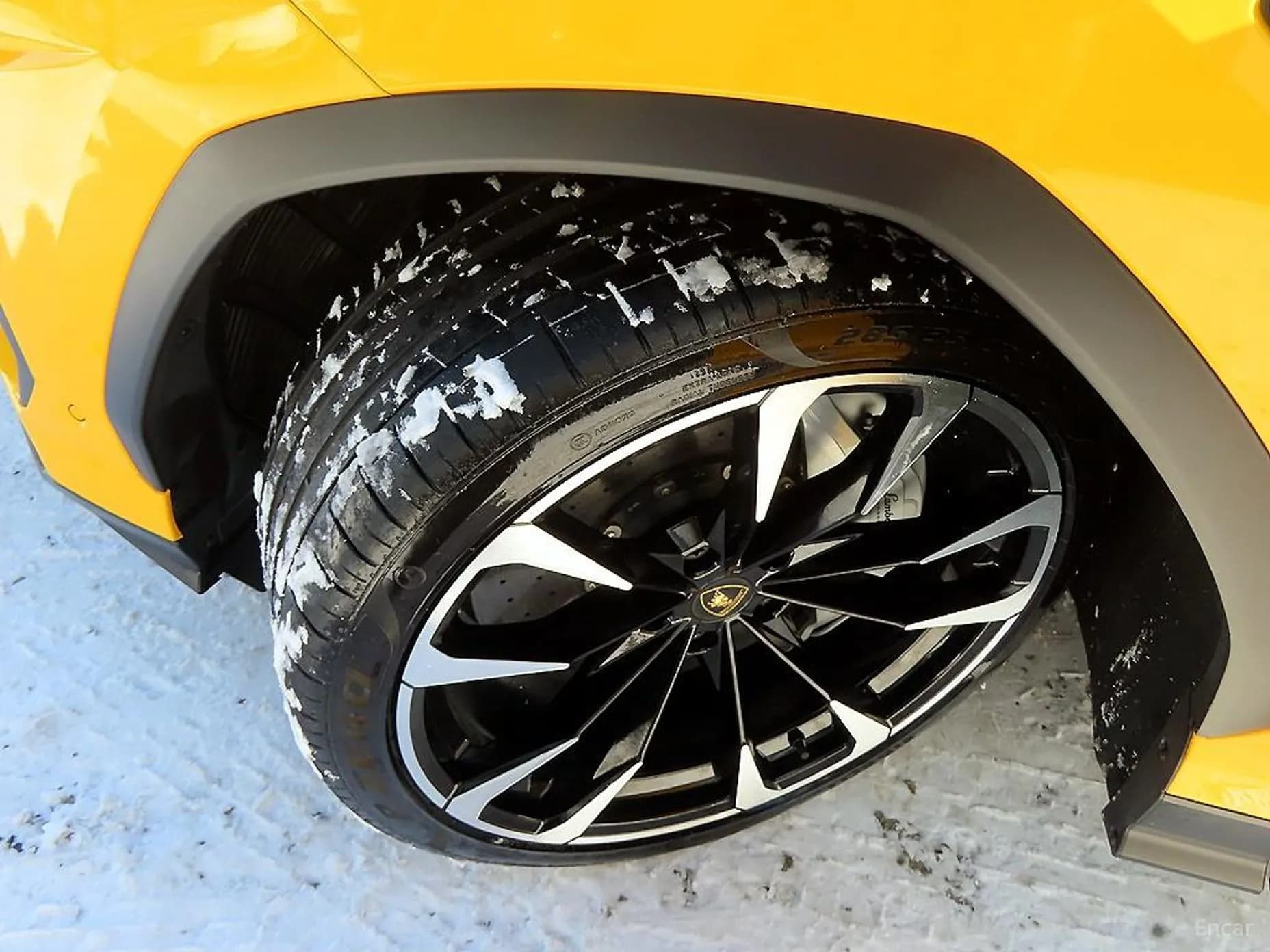 Urus