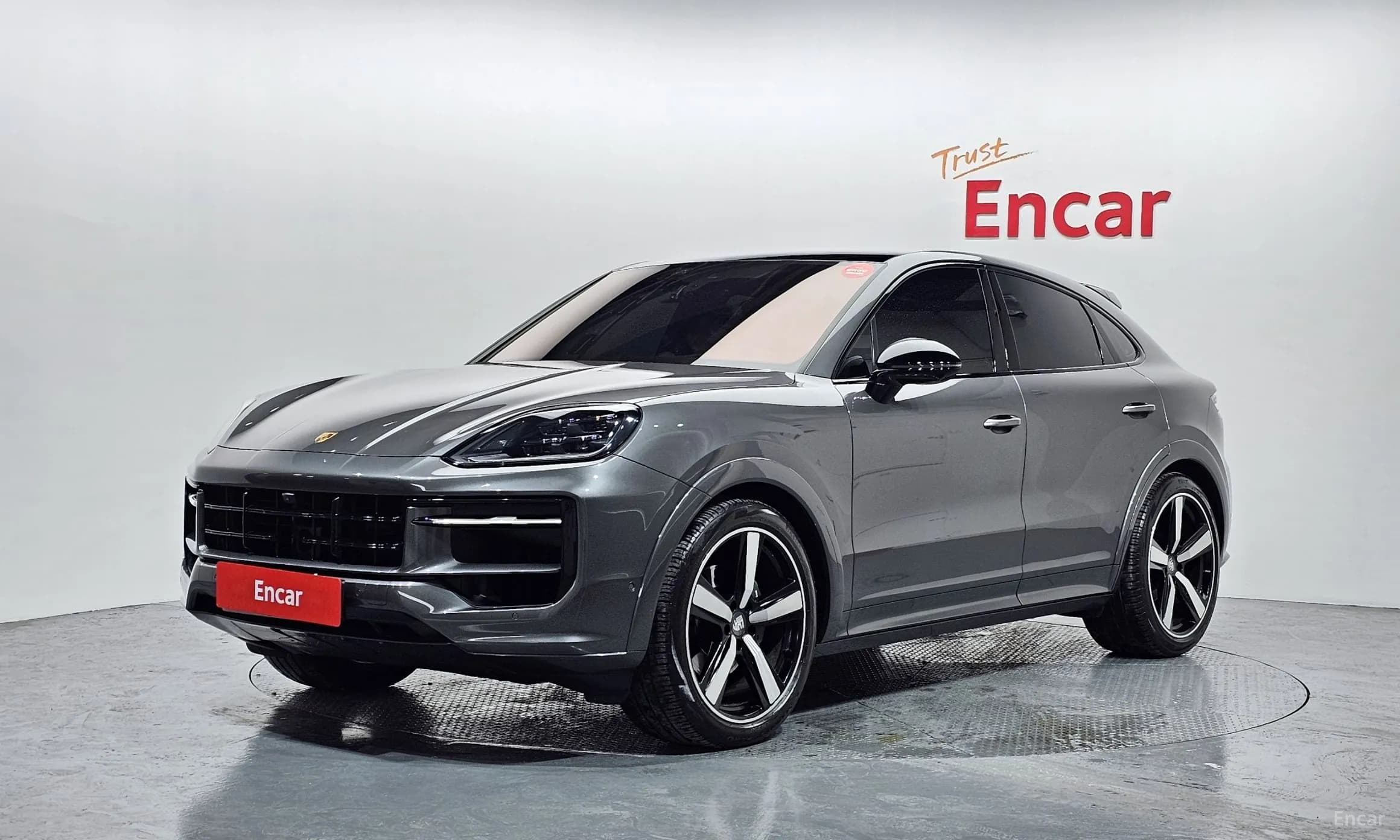 Cayenne (PO536)