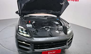 Cayenne (PO536)