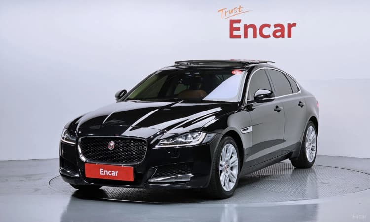 XF (x260)