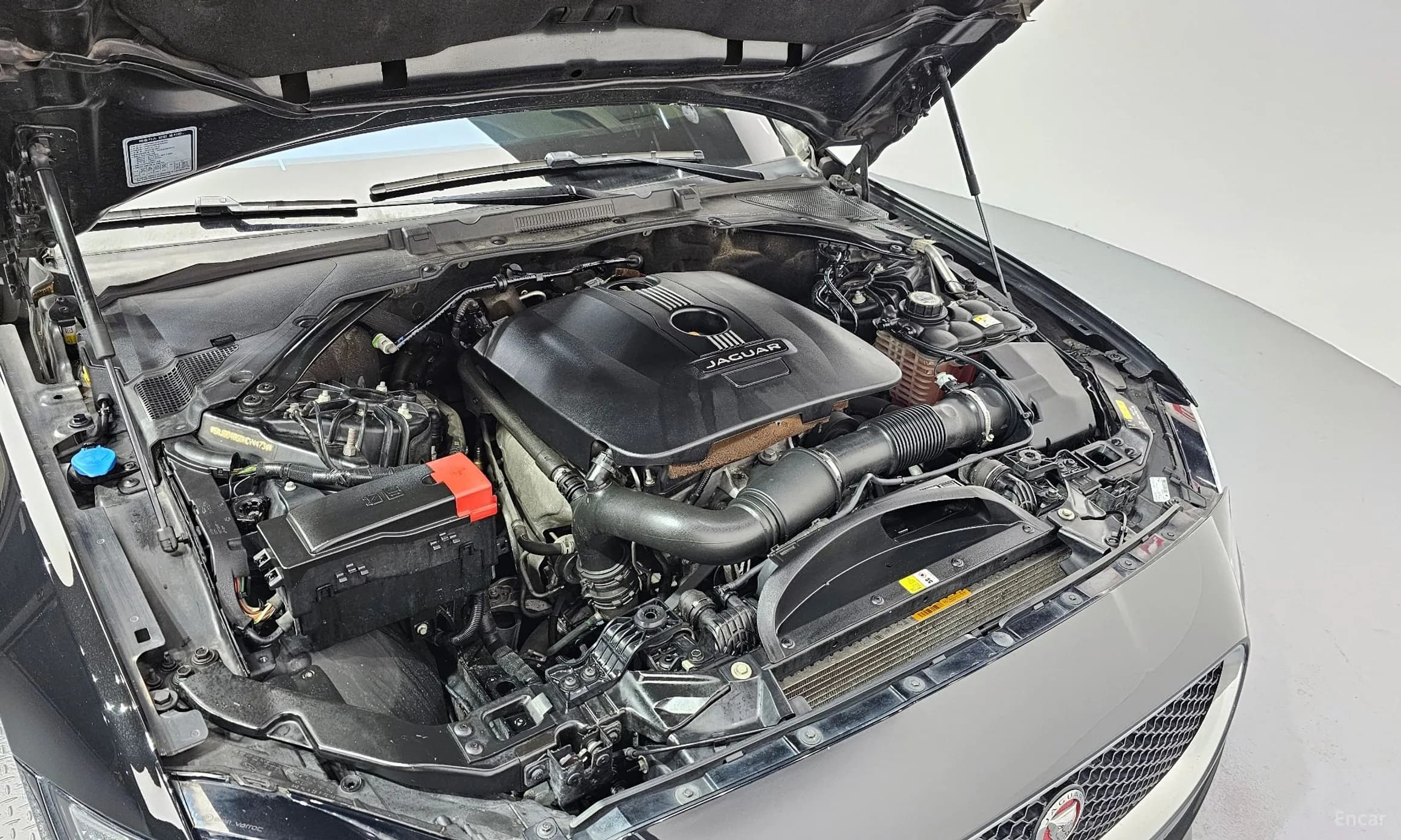 XF (x260)