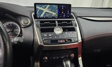NX300