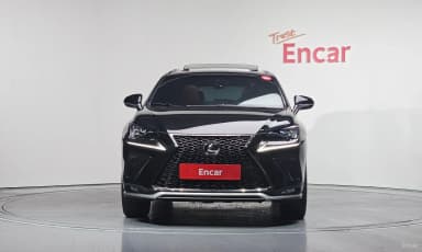 NX300
