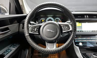 XF (x260)