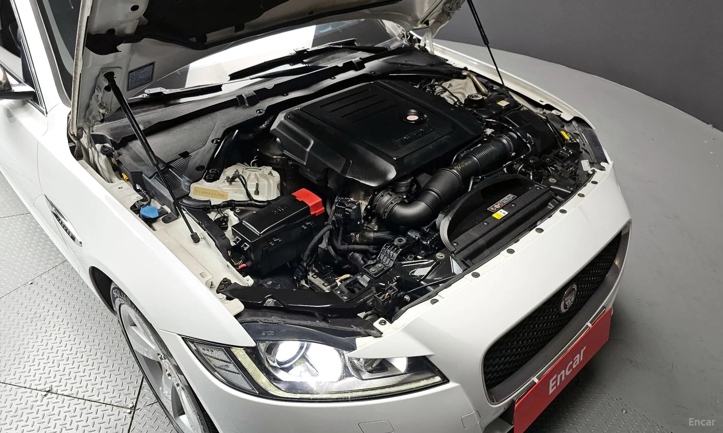 XF (x260)