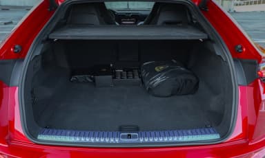 Urus