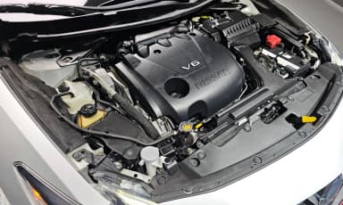 Maxima (A36)