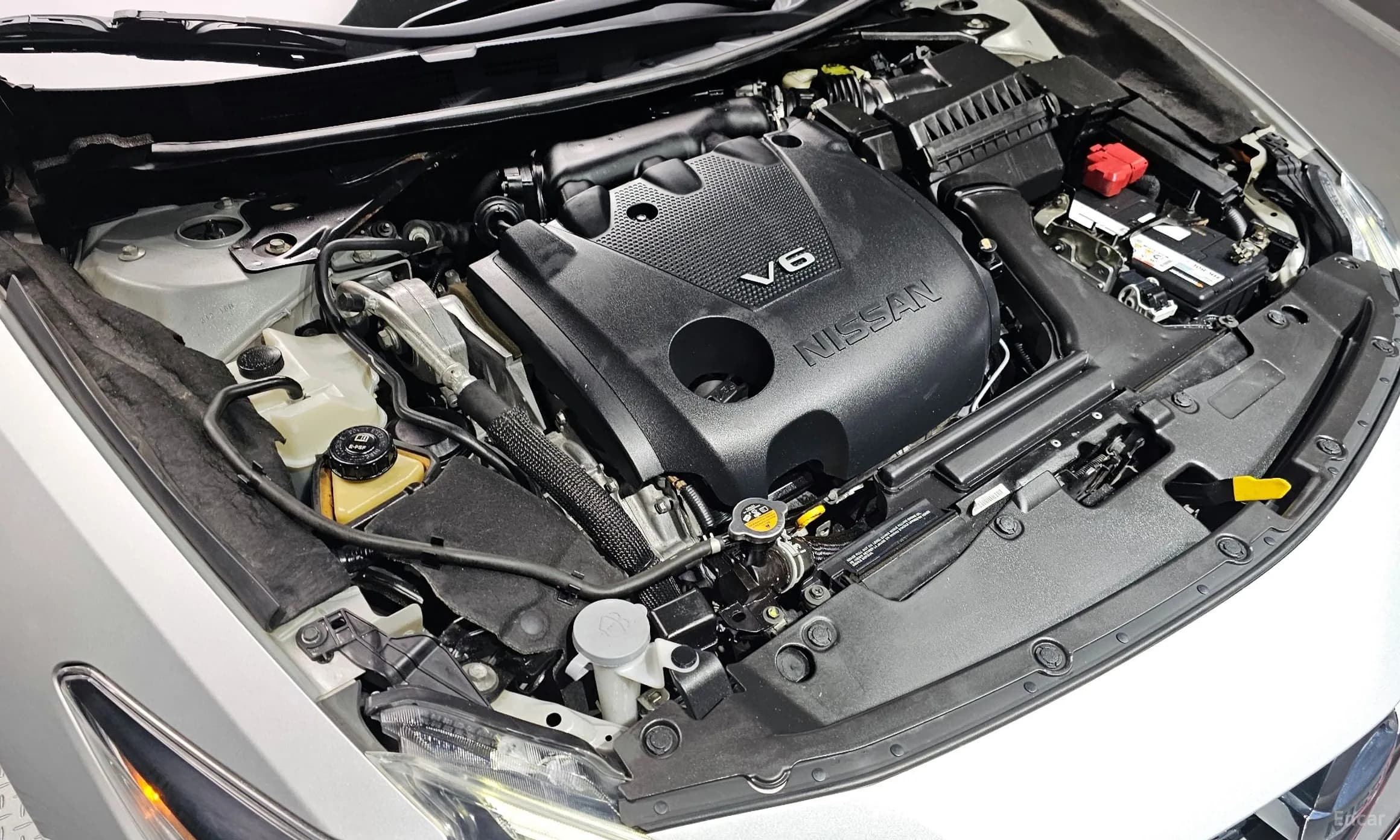 Maxima (A36)
