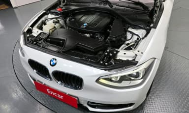 1 Series (F20)