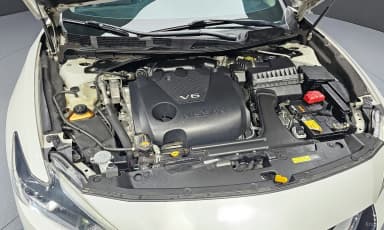 Maxima (A36)