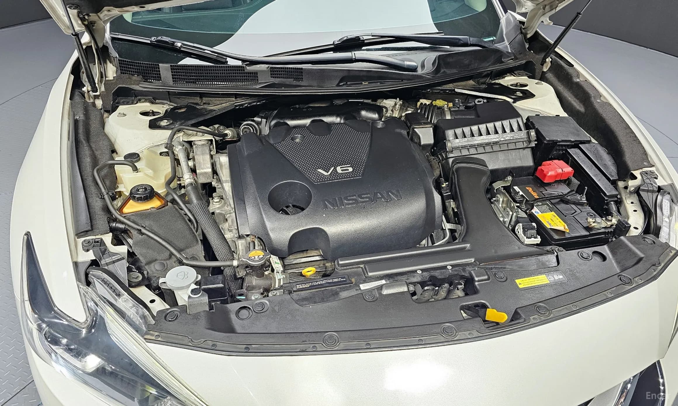 Maxima (A36)