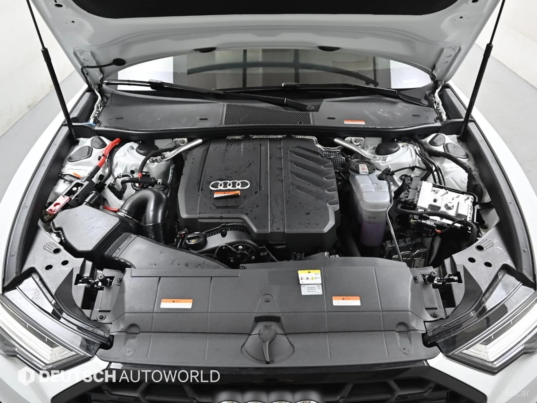 A6 (C8)