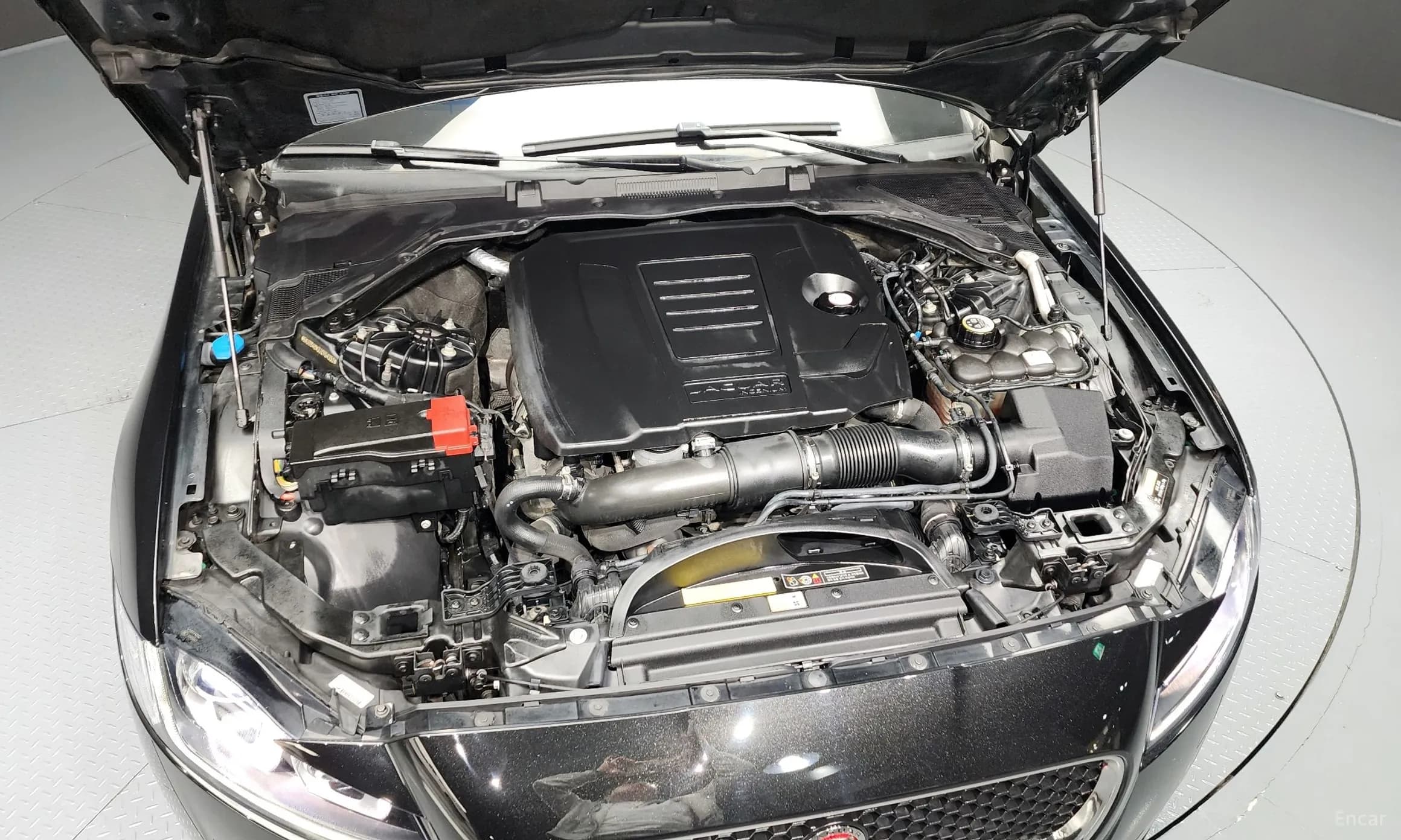 XF (x260)