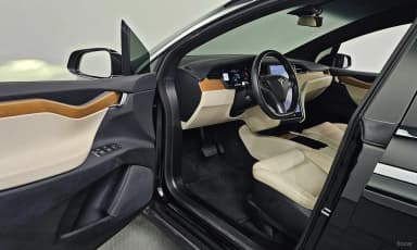 Model X