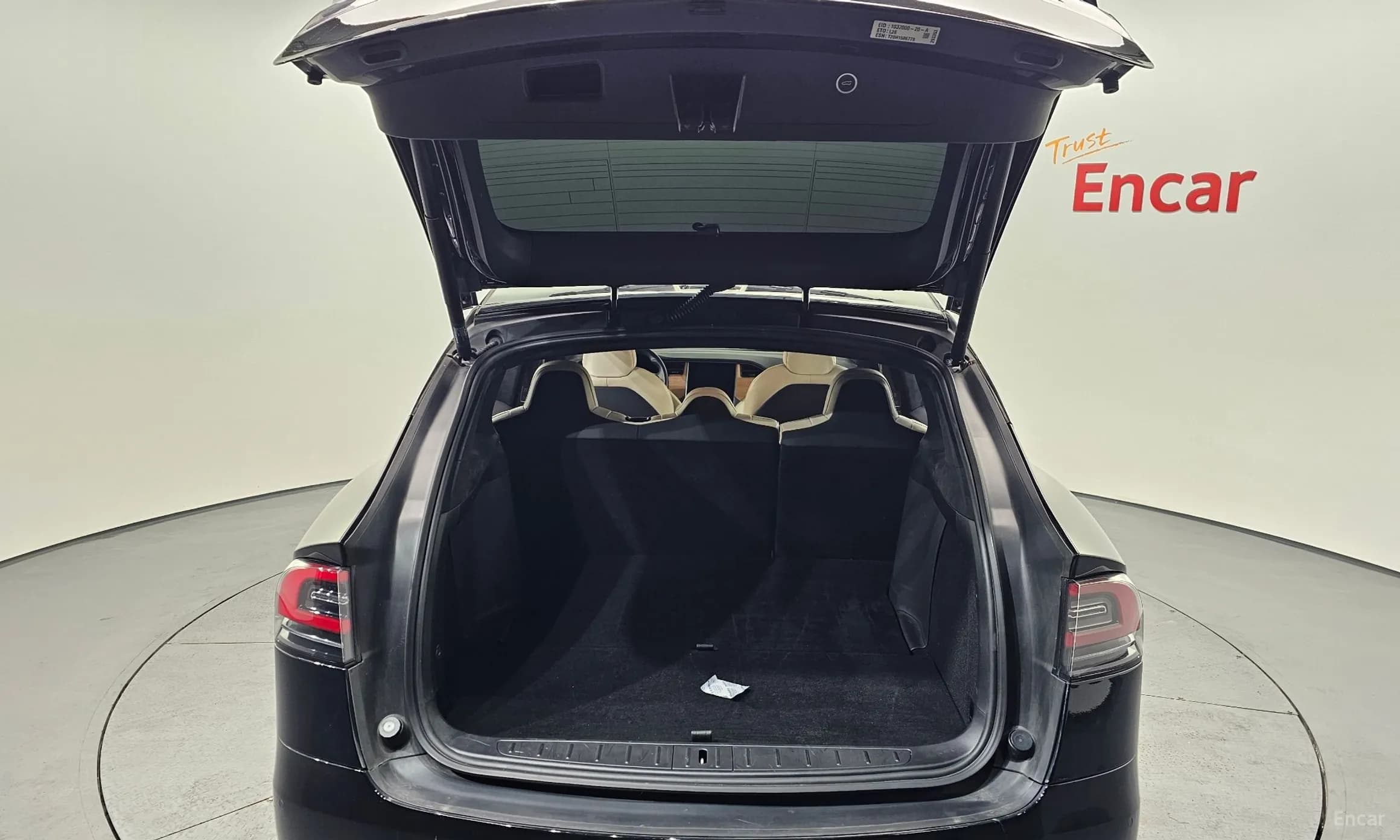Model X