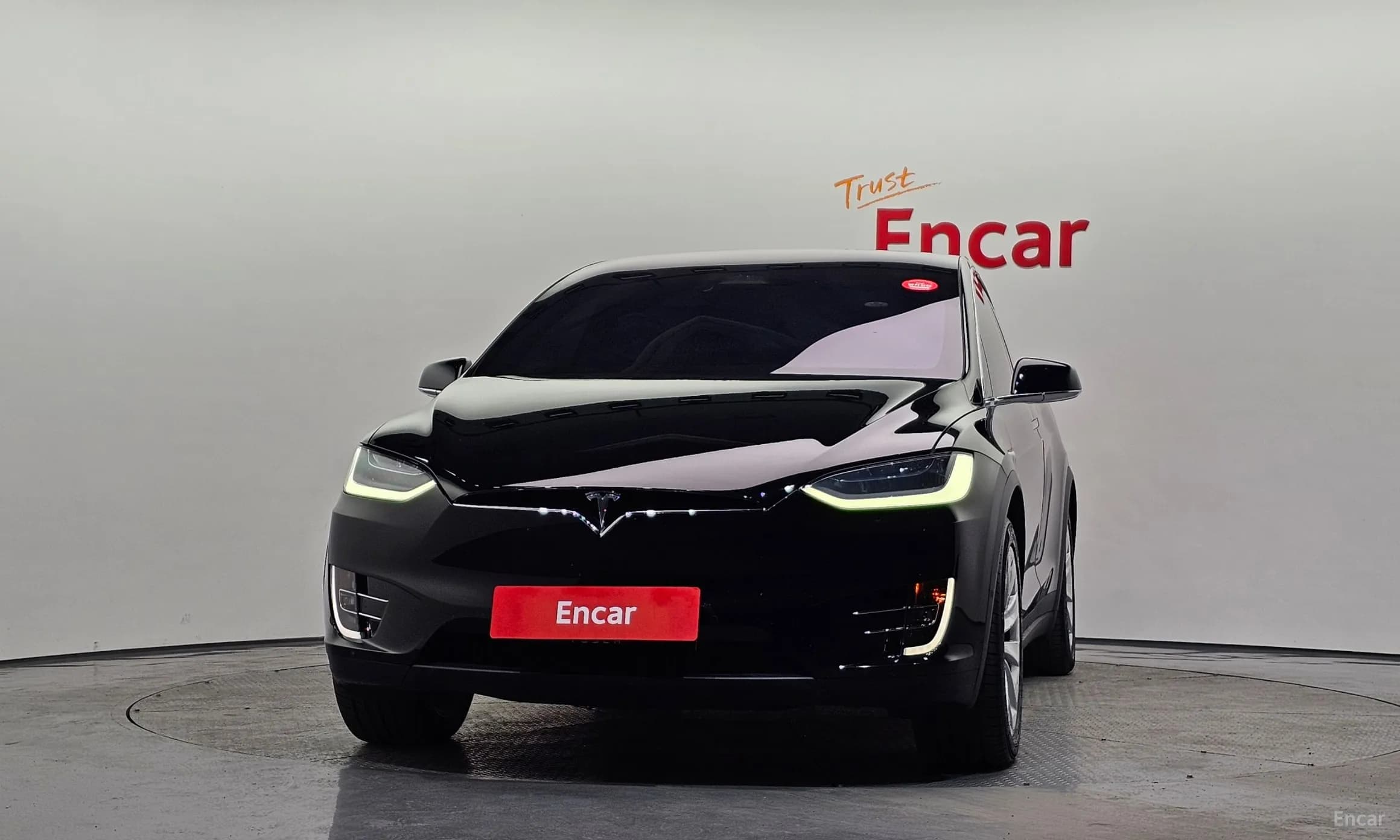 Model X