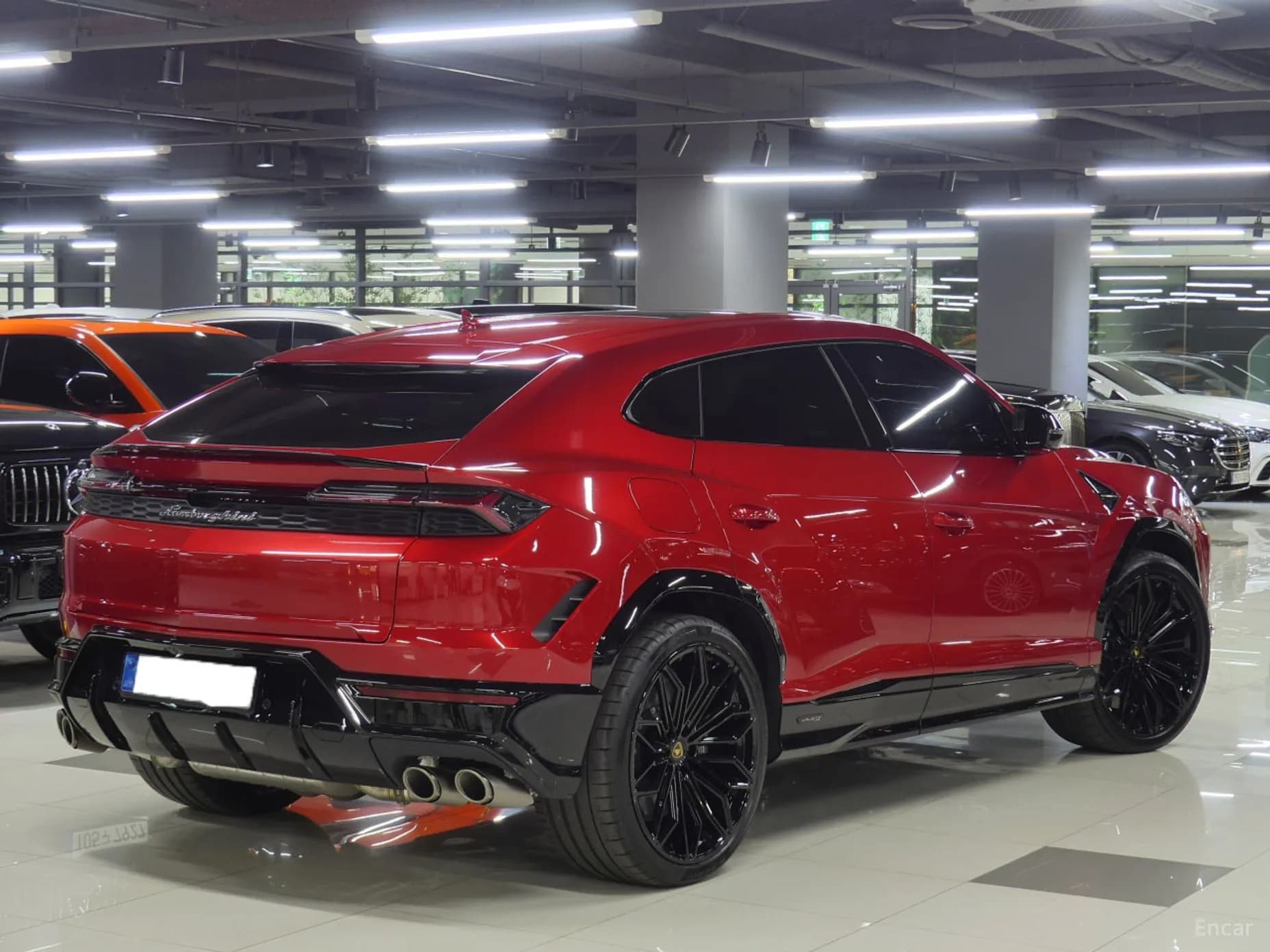 Urus