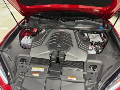 Urus
