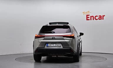 UX300h