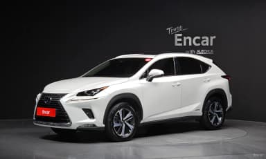 NX300h