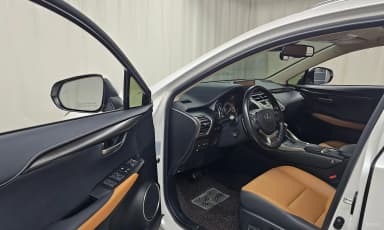 NX300h