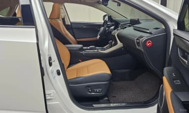 NX300h