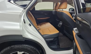 NX300h