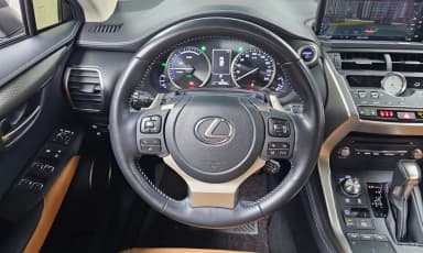 NX300h