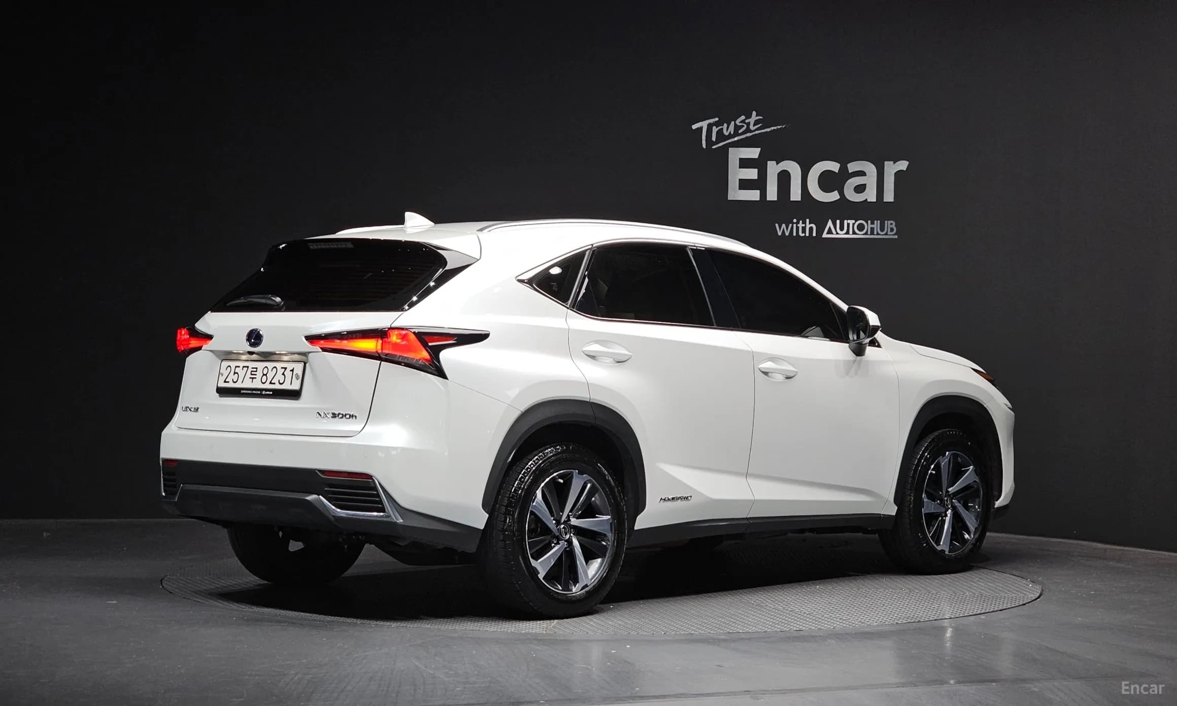 NX300h