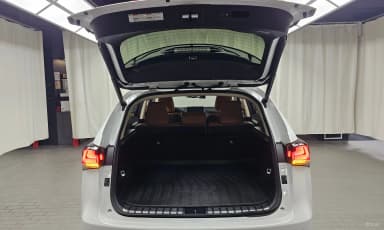 NX300h