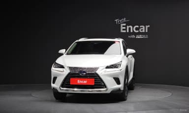 NX300h