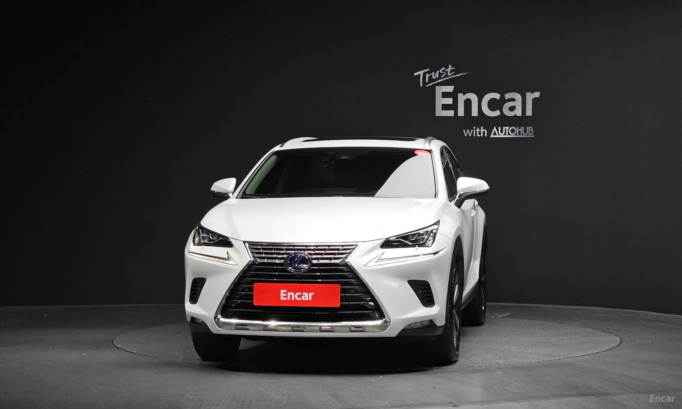 NX300h