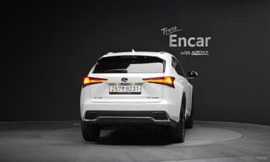 NX300h