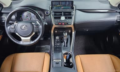 NX300h