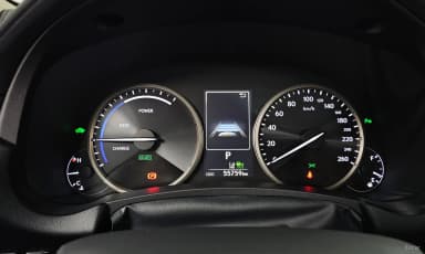 NX300h
