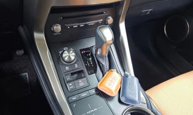 NX300h