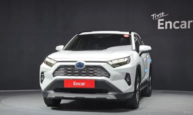 RAV4 5th Generation