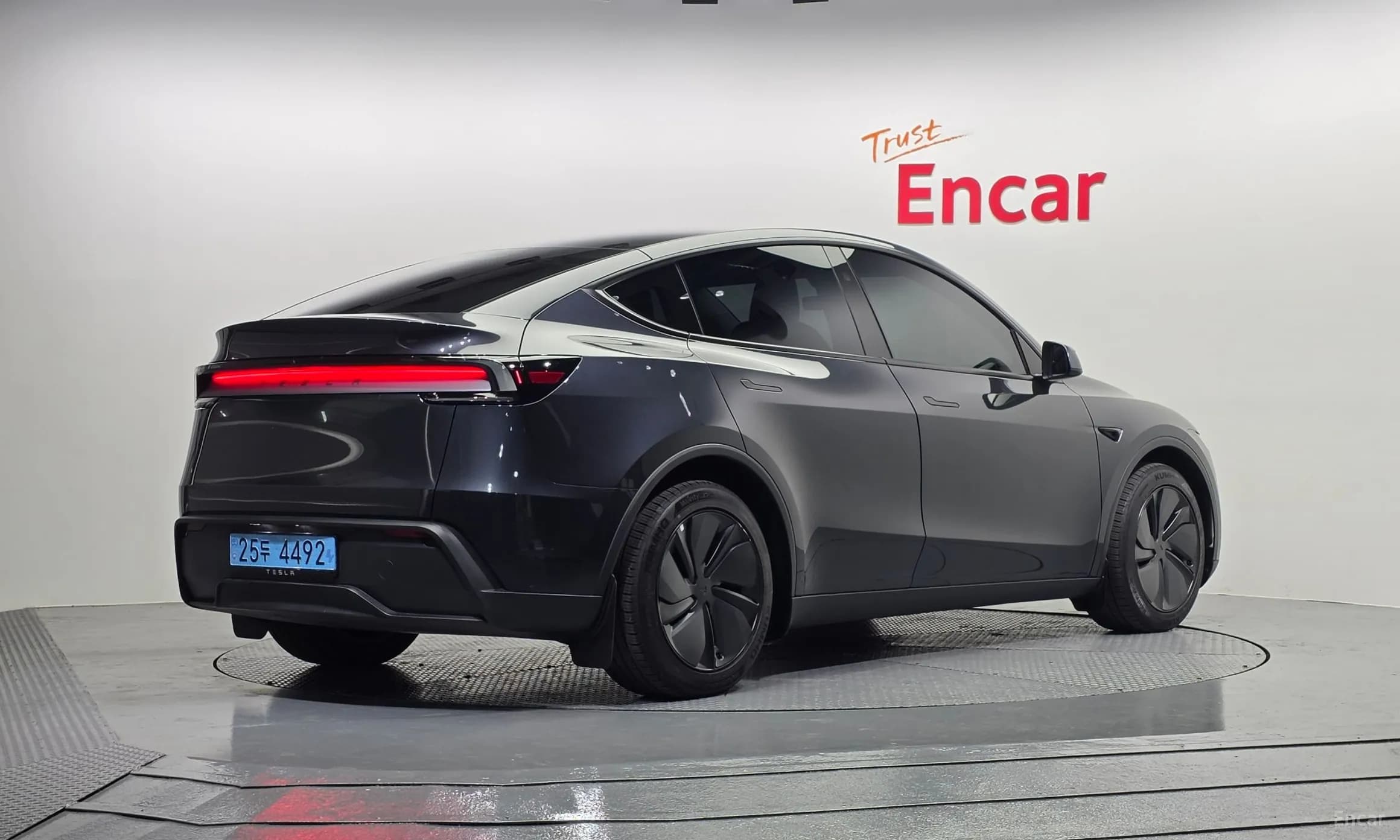 Model Y