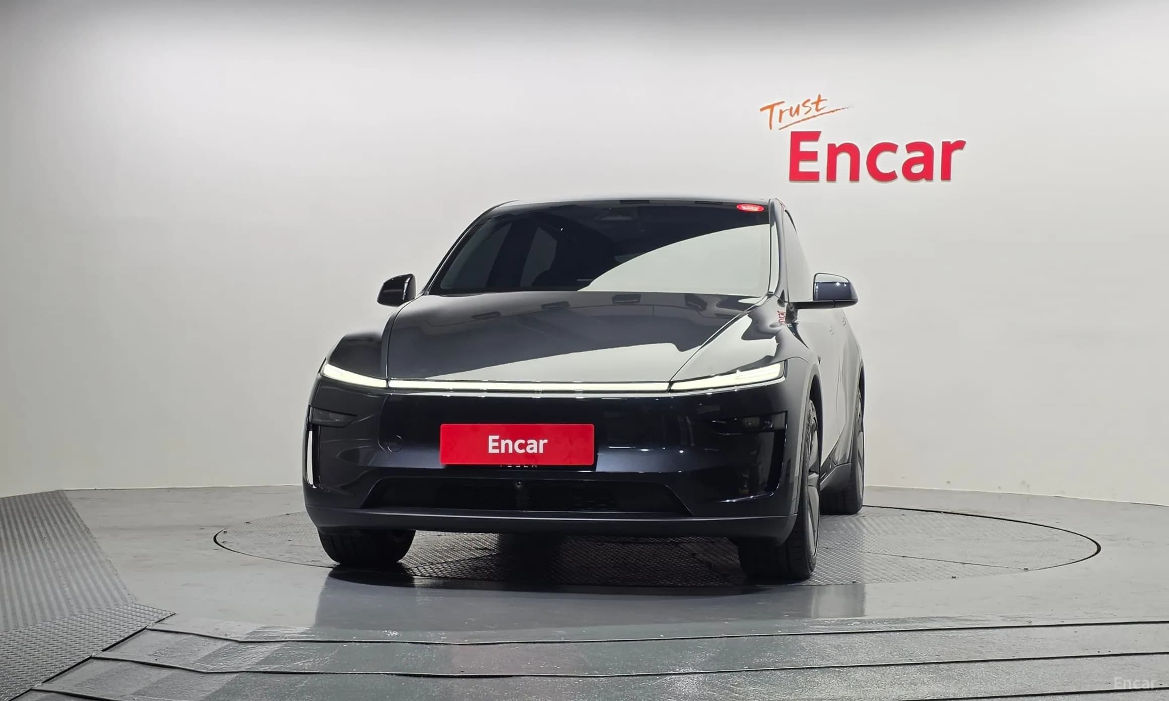 Model Y
