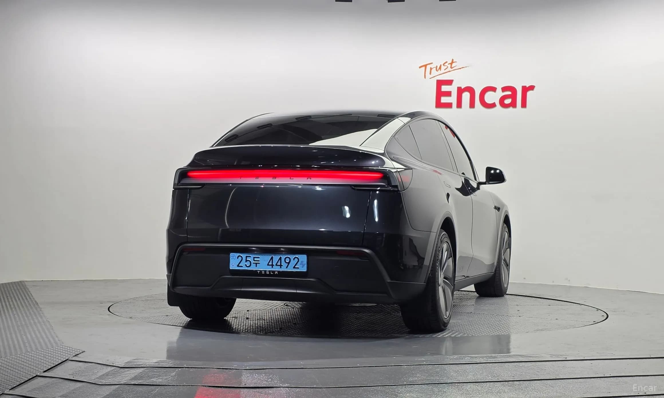 Model Y