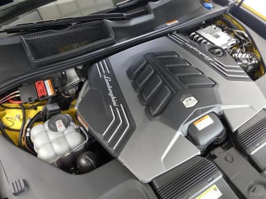 Urus