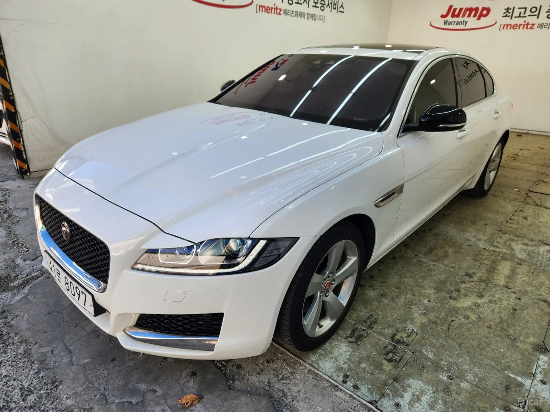 XF (x260)