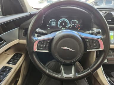 XF (x260)