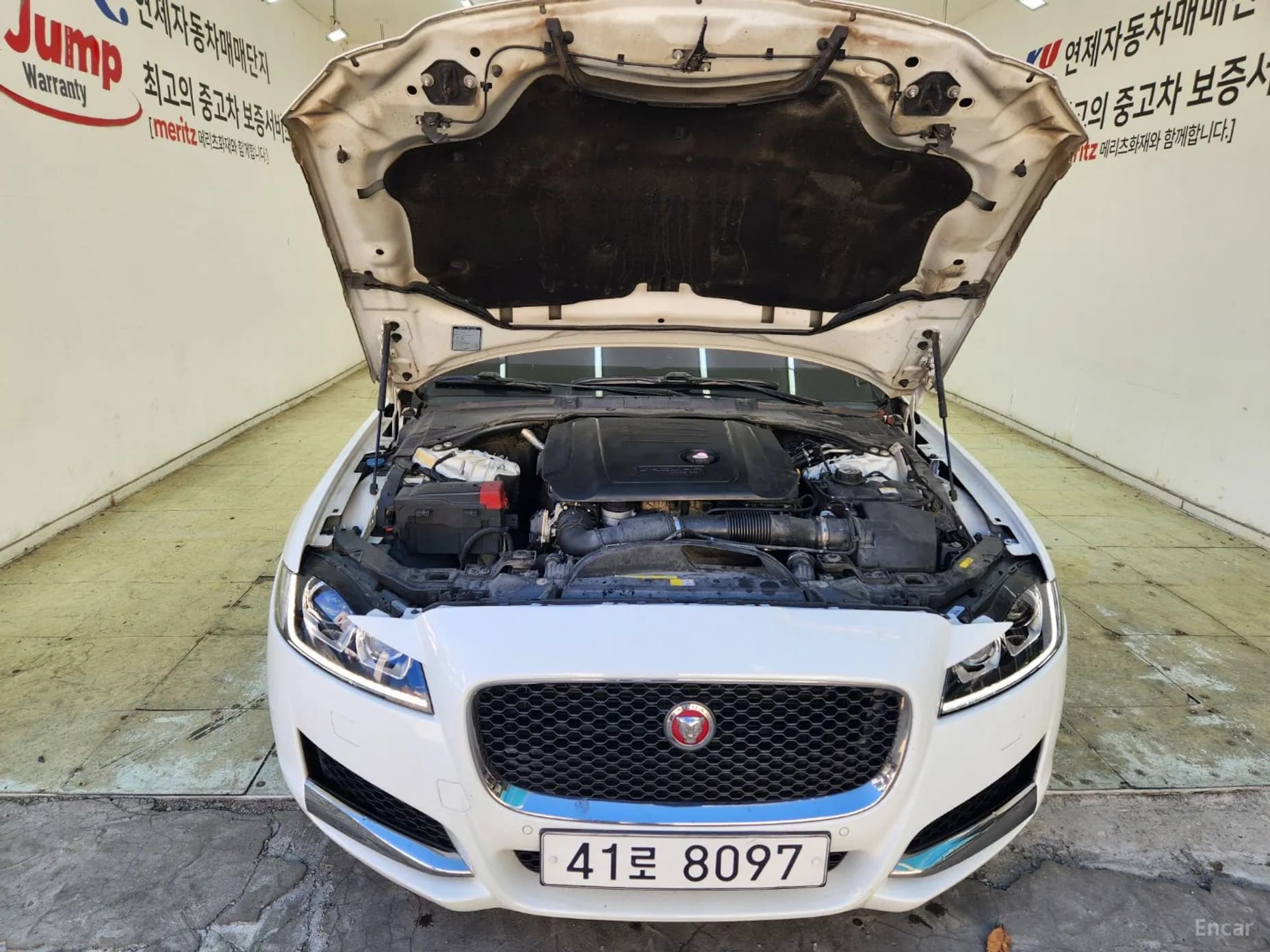 XF (x260)