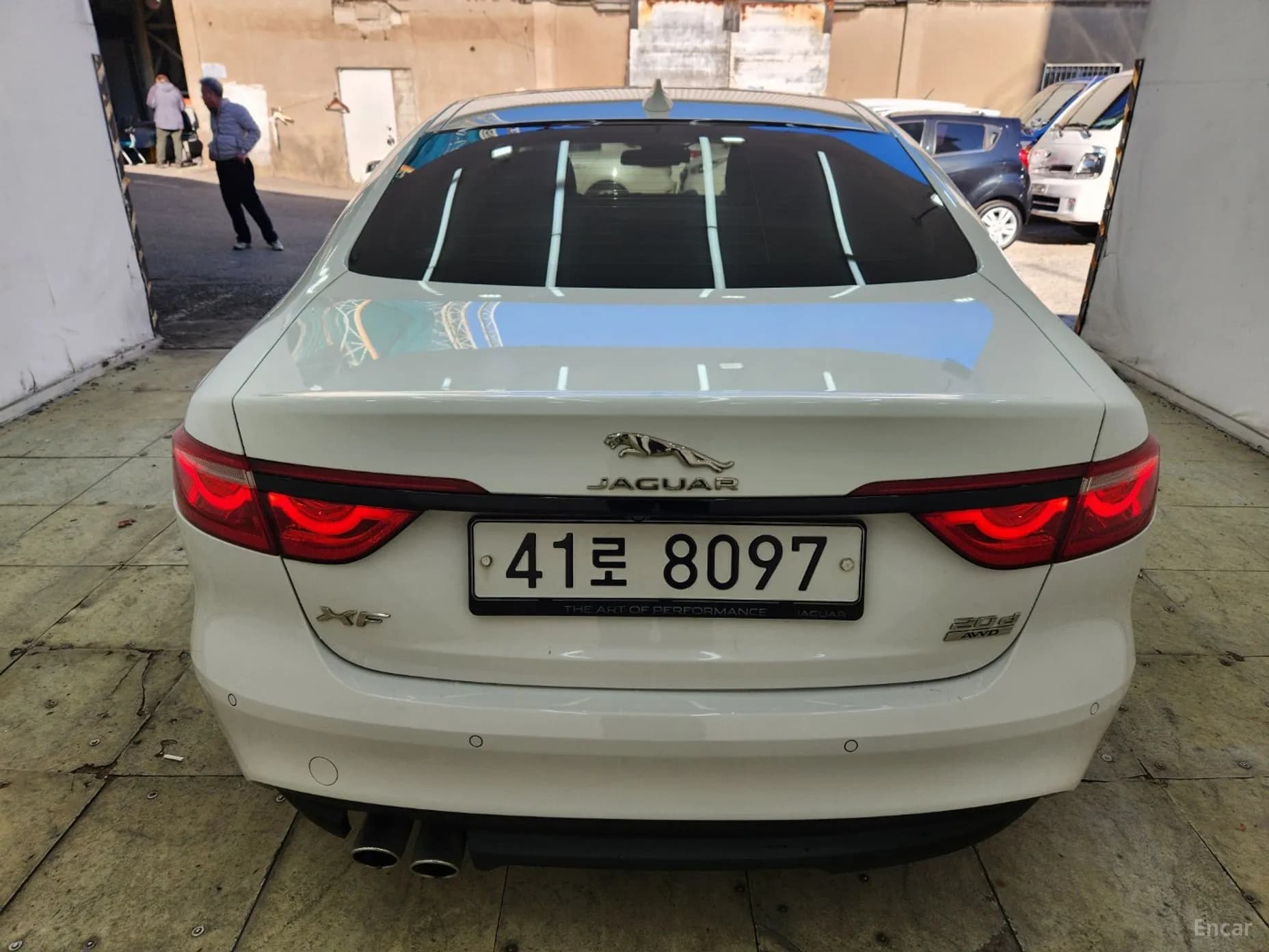 XF (x260)