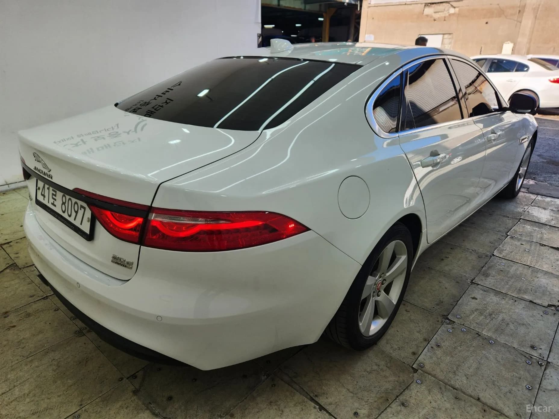 XF (x260)