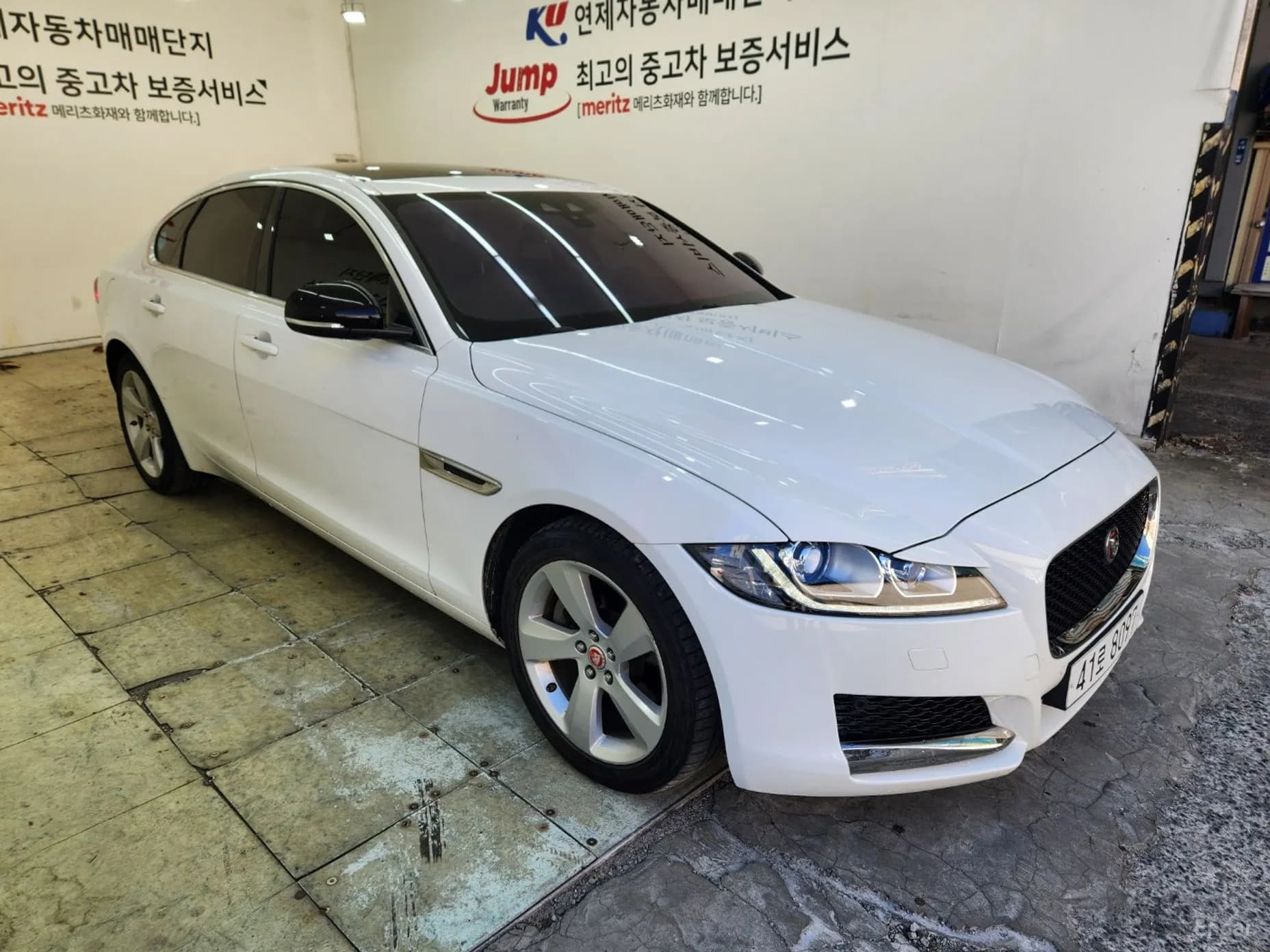 XF (x260)