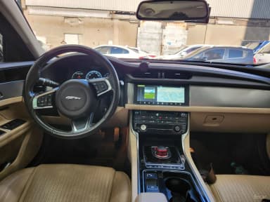 XF (x260)